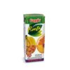 BAGGIO MULTIFRUTA 200 CC